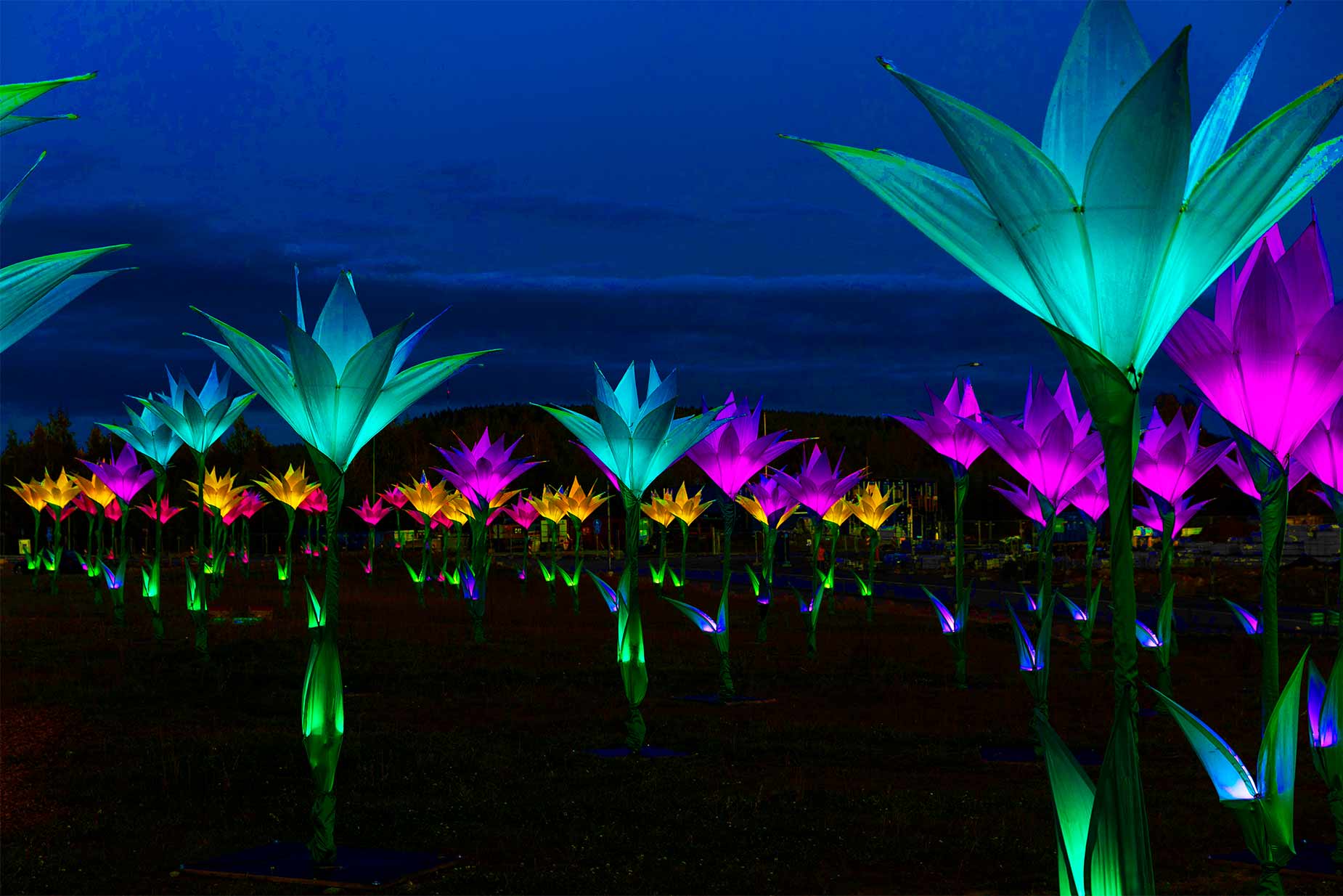 Giant Illuminated Lily Flower