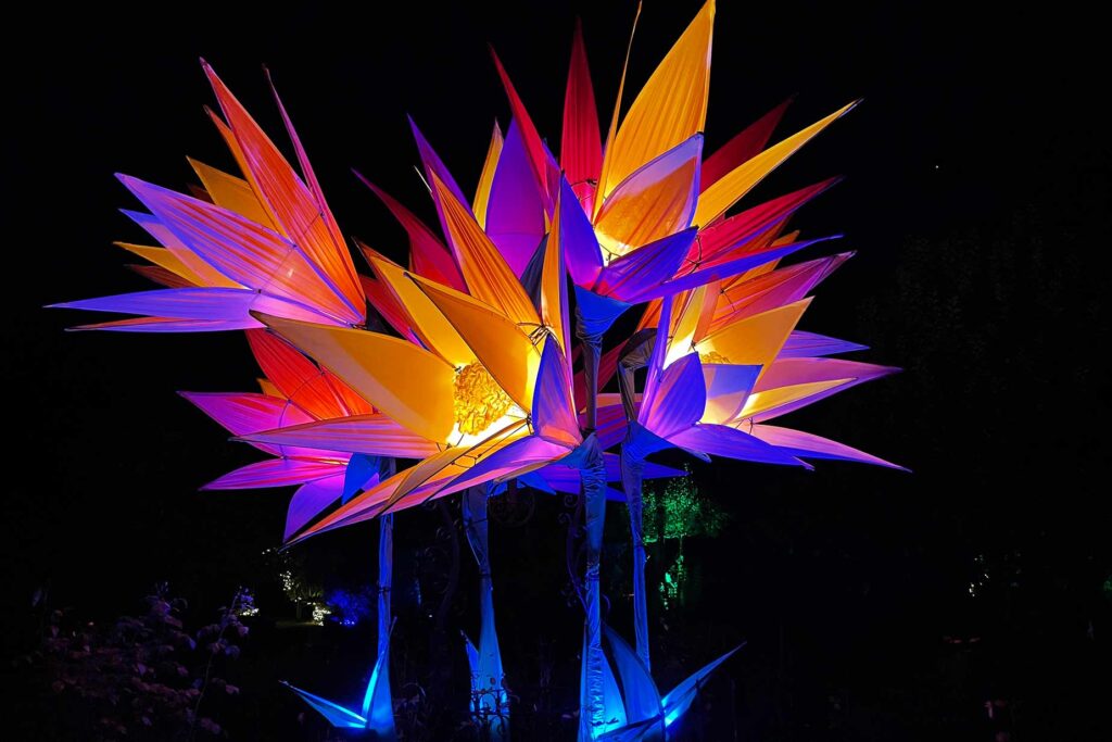 Jigantics - Giant Illuminated Flowers - Home